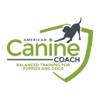 American Canine Coach gallery