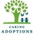 Caring Adoptions - Foster Care Agencies