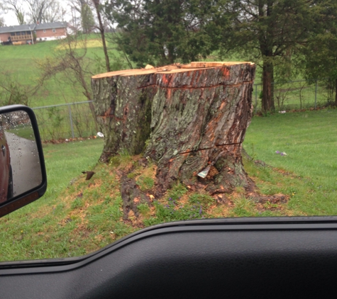 Alexandria Cemetery Co - Alexandria, KY. 100 year tree removed