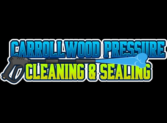 Carrollwood Pressure Cleaning and Sealing - Lutz, FL