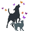 River Ridge Animal Hospital gallery
