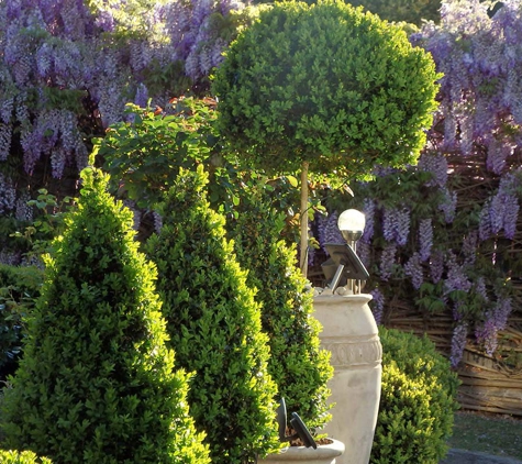 Dr Alyse Price Tobler Bowral Road Counselling and Psychotherapy Center - Mittagong, NSW