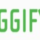 Buggify Pest Solutions