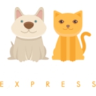 Ty-D-Paws Express