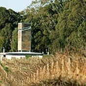 Gallery Image Number 1