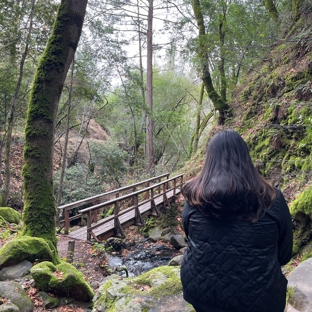 Uvas Canyon County Park - Morgan Hill, CA