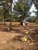 CMA - Drainage Contractors