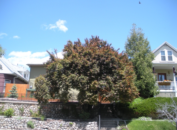 Twin Peaks Tree Care - West Jordan, UT