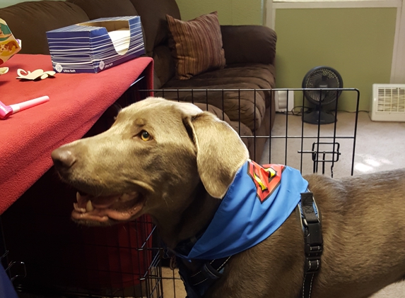 Faith and Family First - Topeka, KS. Asher, therapy dog, hard at work