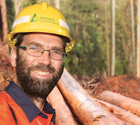 Forestry Corporation of NSW - Baradine, NSW