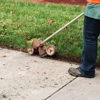 Platinum Lawn Care gallery