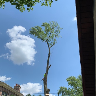 RGP Tree Service - Chicago, IL