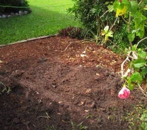 Affordable Stump Grinding - Elanora, QLD