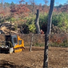 Forestry Mulching And Stump Grinding By Maine Tiller