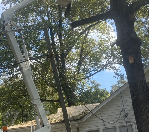 Mike Letson Tree Service - Trussville, AL