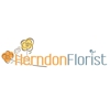 Herndon Florist gallery