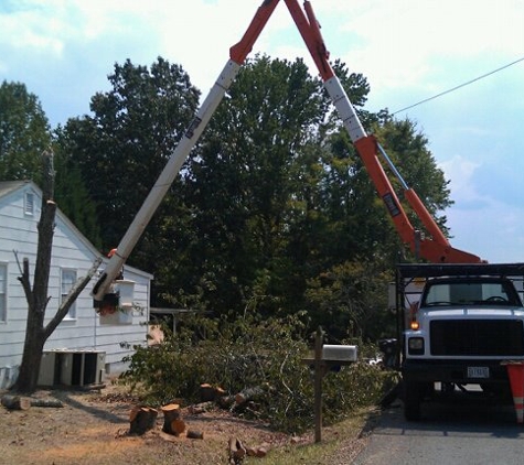 Kevin's Tree Service