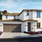 Linden at Arbor Bend By Meritage Homes