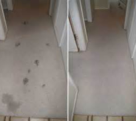 Green Carpet Cleaning In Los Angeles - Los Angeles, CA