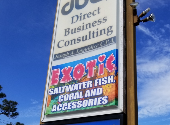 Direct Business Consulting Inc - Daytona Beach, FL