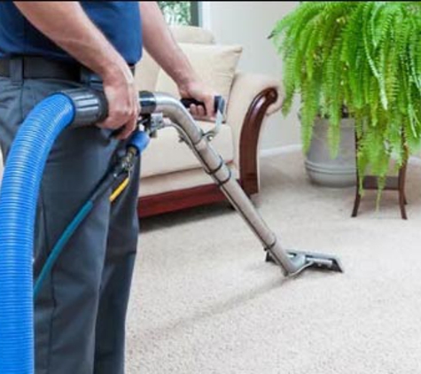 Abelia Cleaning