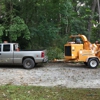 bobs local tree service gallery