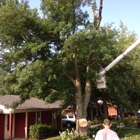 J & R's Tree Service