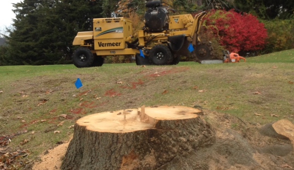 C & E Stump Removal Svc - Bozrah, CT