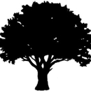 Absolute Tree Care - Tree Service
