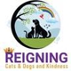 Reigning Cats & Dogs