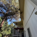 Benoit's Tree Care - Tree Service