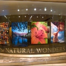 Natural Wonders Gallery - Souvenirs