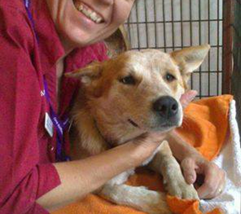 Marius Small Animal Veterinary Clinic - Tamworth, NSW