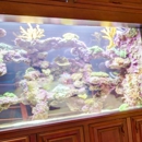 The Happy Fish - Aquariums & Aquarium Supplies