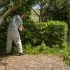 Comfort Pest Control gallery
