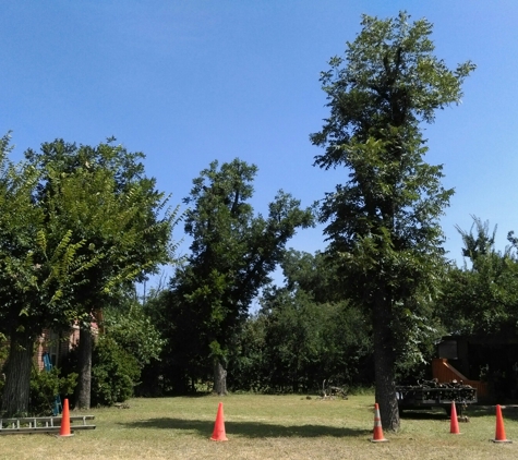 B&M TREE SERVICE - San Angelo, TX. After.. 7/30/15