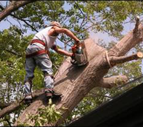 Atlantic Tree Service - Chatham, NJ