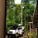 Carolina Tree Service - Tree Service