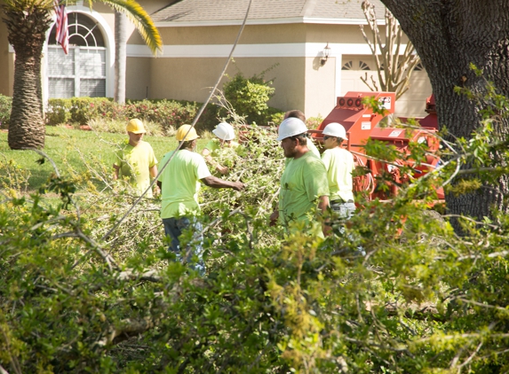 Blades Of Green - Apopka, FL