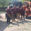 Su-Tree Service gallery