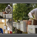 The Bee Barn
