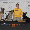 Dog Zone Training & Activity Center - Pet Services