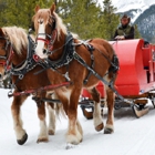 Nordic Sleigh Rides