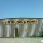 Trees Pots & Plants Inc