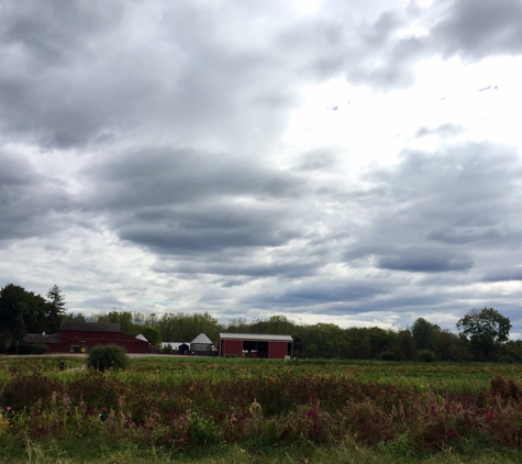 Maple Acre Farms - Plymouth Meeting, PA