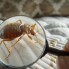 Braness Pest Control gallery