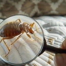 Braness Pest Control - Pest Control Equipment & Supplies