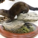 Shertzer Barry Taxidermy - Taxidermists