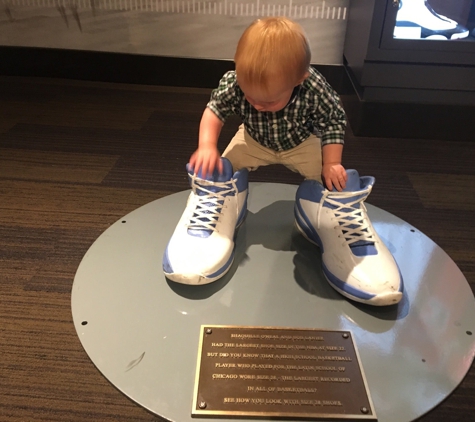 Chicago Sports Museum - Chicago, IL