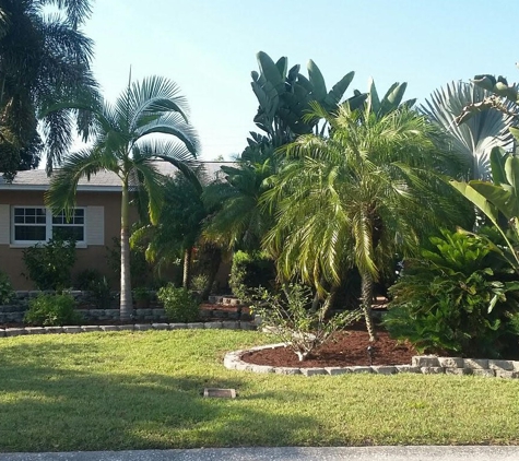 Palm Island Growers - Saint Petersburg, FL. Awesome Palms - Foxtail, Royal, Pygmy,  Sago
